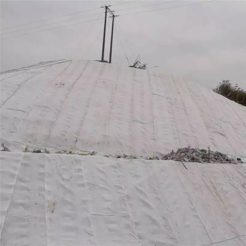 Composite Drainage Nets in Tunnel Construction