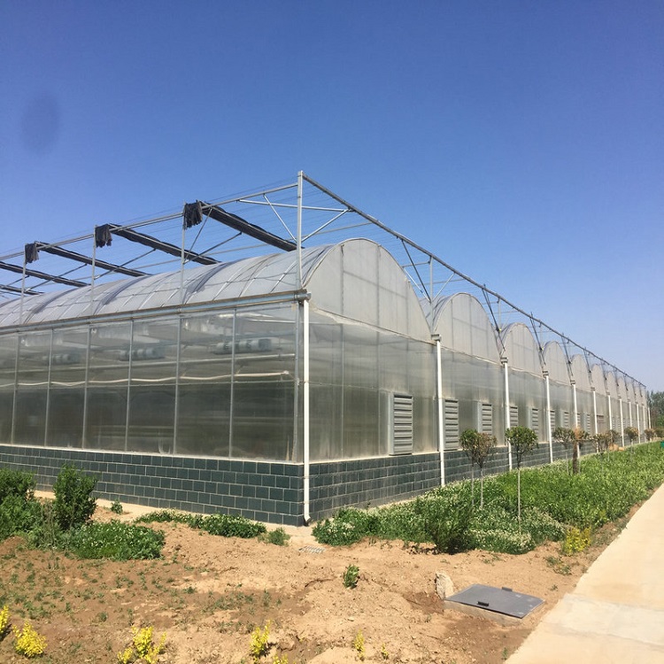 greenhouse film