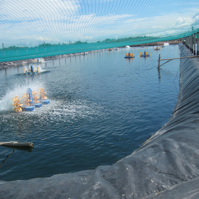 Shrimp Pond Liners