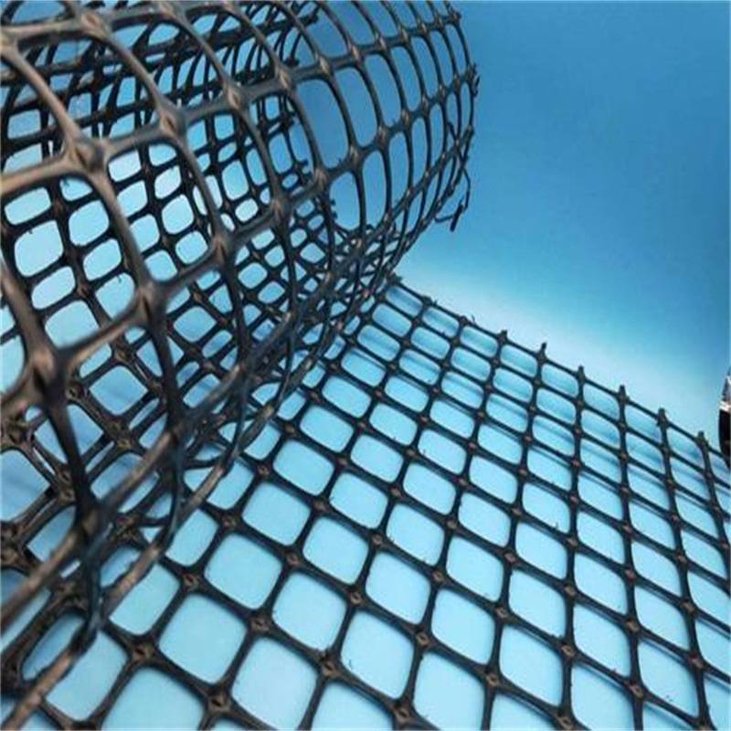 Geogrid