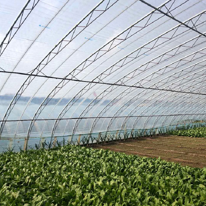 greenhouse.jpg