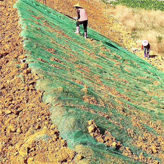 plastic three dimensions geomat for slope protection (2).jpg